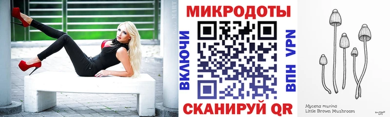купить наркоту  Княгинино  Галлюциногенные грибы MAGIC MUSHROOMS 